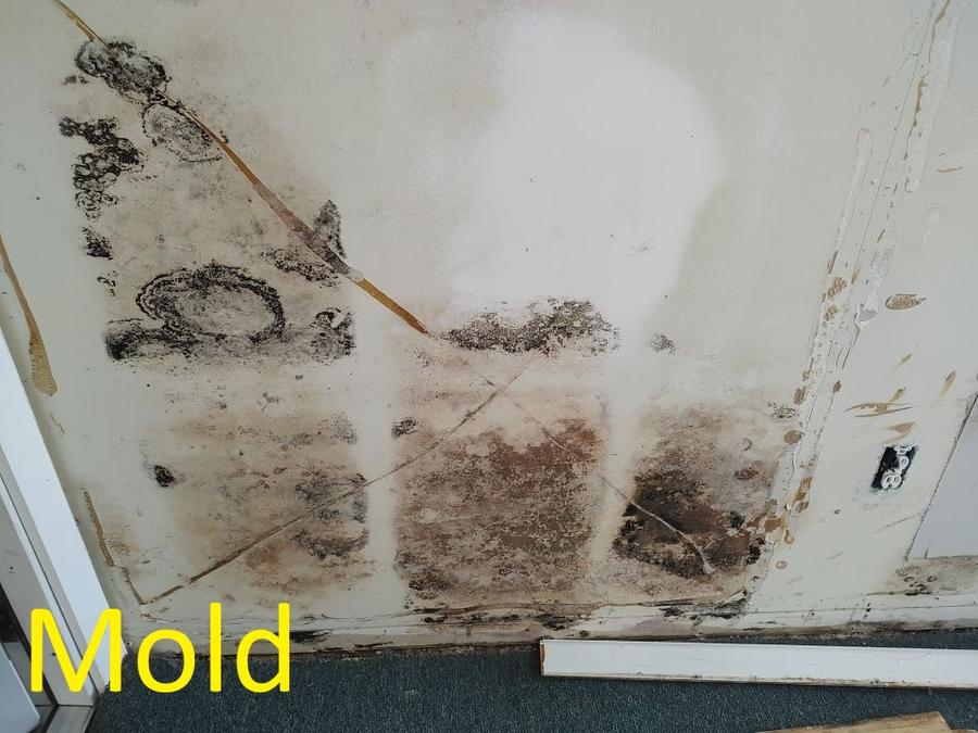 Severe black mold on drywall — mold removal and remediation Florida