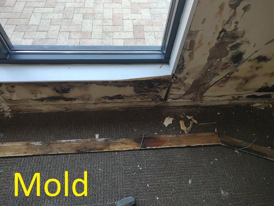 Mold damage at window base and baseboard — water intrusion mold Panama City