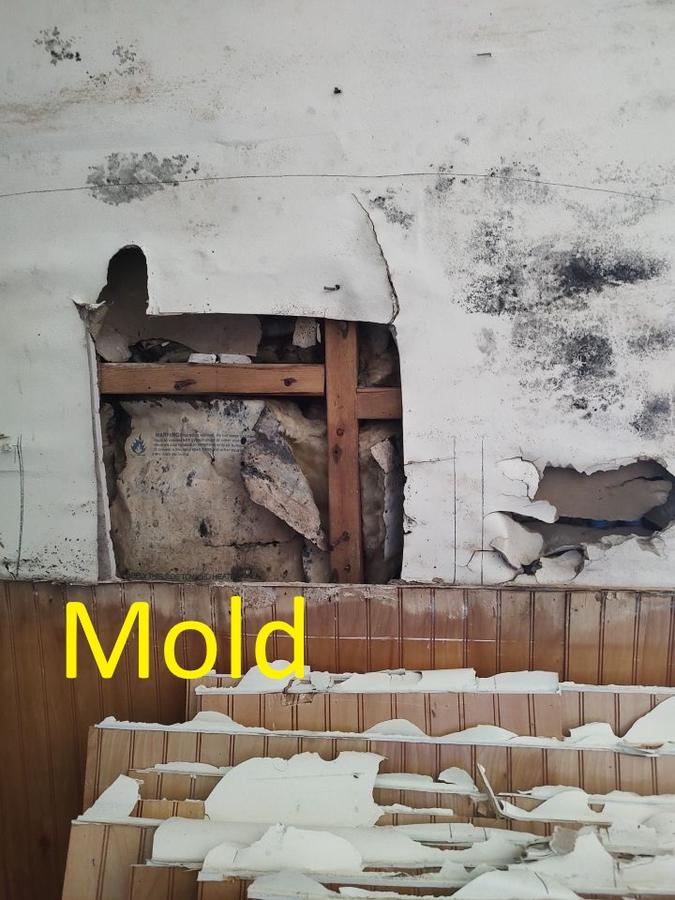 Mold colonization on wall and insulation exposed — mold remediation Bay County